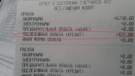 Что такое кредитный чек