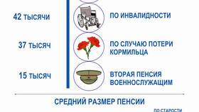 Что такое предполагаемый размер страховой пенсии в Неофарм