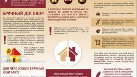 Что входит в условия брачного договора в Неофарм