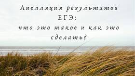 Как подать апелляцию о несогласии с результатами ЕГЭ в Неофарм