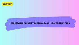 Как заполнить декларацию о прибыли в Неофарм