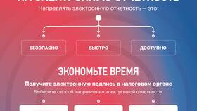 Почему в декларации сумма вычета 0: причины и решения в Неофарм