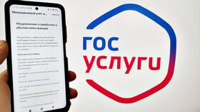 Сроки проведения платежа приставам через Госуслуги в Неофарм