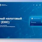 Что значит положительное сальдо в налоговой