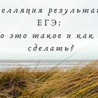 Как подать апелляцию о несогласии с результатами ЕГЭ