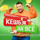 Как сделать заказ в магазинах Дикси